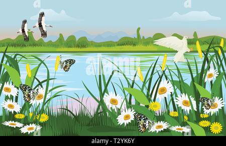 Location of the swamp with grass trees, flowers Butterfly and birds are flying There are forests and mountains in the background. Stock Vector