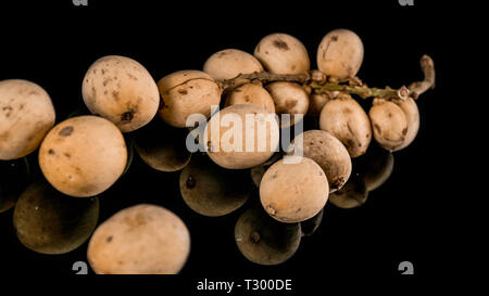 lansium parasiticum or Duku is a type of fruit from members of the Meliaceae tribe. originating from western Southeast Asia similarities with langsat Stock Photo