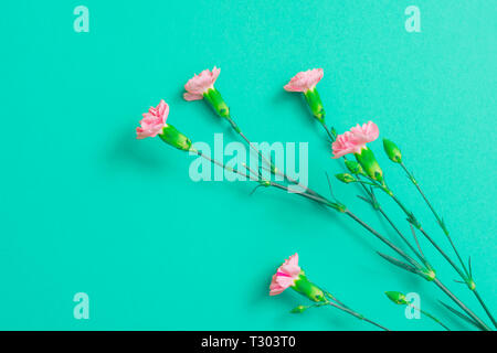 Carnation flowers isolated on the corner of cyan space. Pattern for greeting card Stock Photo