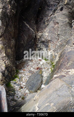 Small Round Rockpool with Quartz Pebbles. Foreshore along Mouthwell Beach, Hope Cove, South Devon, UK. Stock Photo