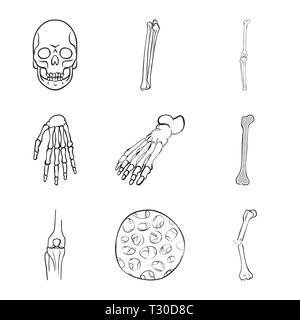 skull,femur,knee,wrist,foot,fiber,fracture,death,joint,hand,ankle,bony,healthy,pain,horror,arm,forefoot,tibia,epithelium,connective,tattoo,leg,carpus,finger,fibula,epidermis,musculoskeletal,head,surgery,medicine,clinic,biology,medical,bone,skeleton,anatomy,human,organs,set,vector,icon,illustration,isolated,collection,design,element,graphic,sign,outline,line Vector Vectors , Stock Vector