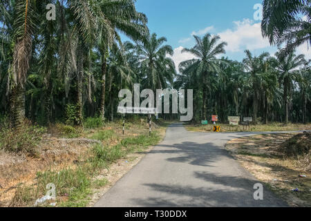 Kampung Sungai Melayu, Iskandar Puteri, Johor, Malaysia Stock Photo