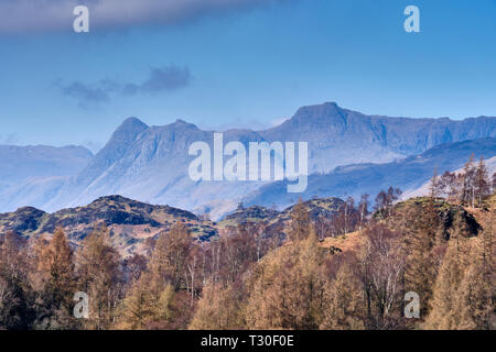 The Langdale Pikes, as seen from Tarn Hows, near Hawkshead, Lake District, Cumbria Stock Photo