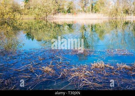 One of the lakes at Cotswold Water Park. Stock Photo