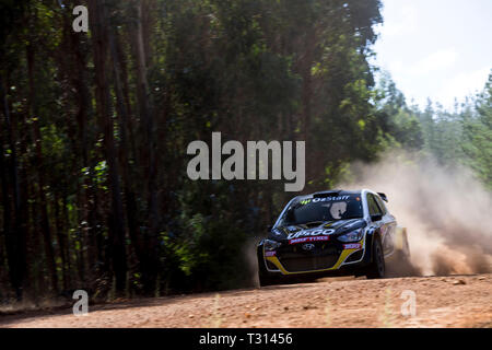 Nannup, Western Australia, Australia. 6th Apr, 2019. ARC CAMS Australian Rally Championship Round 1, day 2; The number 3 Hyundai i20 driven by Troy Dowel and co-driven by Simon Ellis during the Galena stage Credit: Action Plus Sports/Alamy Live News Stock Photo