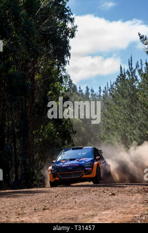 Nannup, Western Australia, Australia. 6th Apr, 2019. ARC CAMS Australian Rally Championship Round 1, day 2; The number 6 Hyundai i20 driven by JJ Hatton and co-driven by Nathan Long during the Galena stage Credit: Action Plus Sports/Alamy Live News Stock Photo