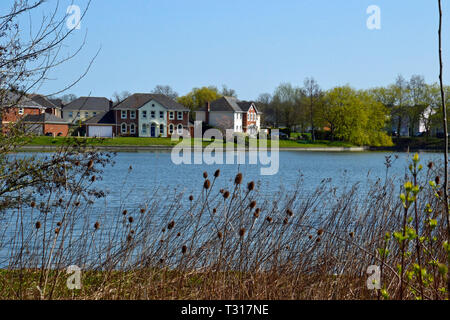 View of houses across Watermead Lake, Watermead, Aylesbury, Buckinghamshire, UK Stock Photo