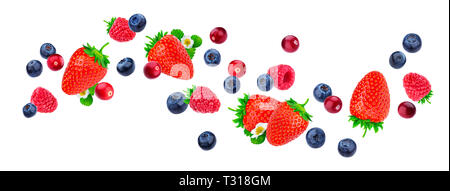 Flying berries isolated on white background with clipping path, different falling wild berry fruits mix, collection Stock Photo