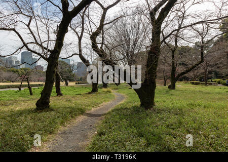 When you decide to visit the Imperial Palace in Tokyo be ready to see only the outside gardens. There is no option to see inside the palace. Stock Photo