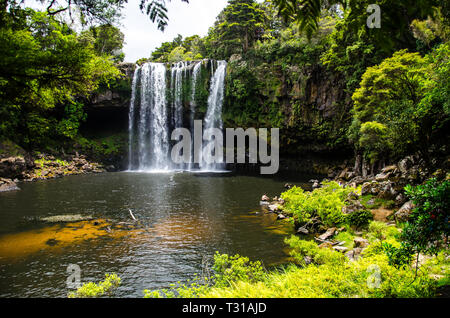 Rainbow falls waterfall in Kerikeri at Northland, North Island, New Zealand. Stock Photo