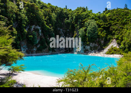 Thermal Pool at Waimangu Volcanic Valley in Rotorua, North Island, New Zealand. Stock Photo
