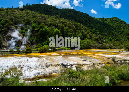 Thermal Geyser at Waimangu Volcanic Valley in Rotorua, North Island, New Zealand. Stock Photo
