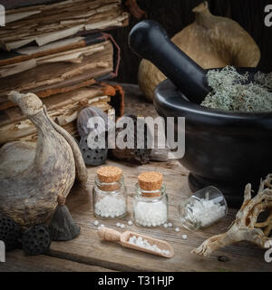 Bottles of homeopathic globules, mortar, dried moss, old books, dry roots, nuts and plants on table. Homeopathy medicine. Stock Photo