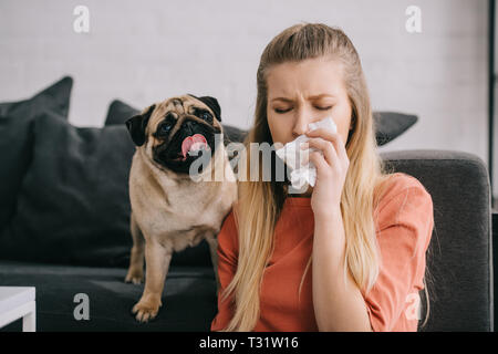 blonde girl allergic to dog sneezing in tissue near adorable pug Stock Photo