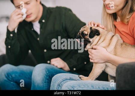 cropped view of woman with pug near sneezing man allergic to dog Stock Photo