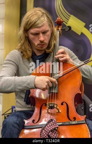 Man playing cello. Stock Photo