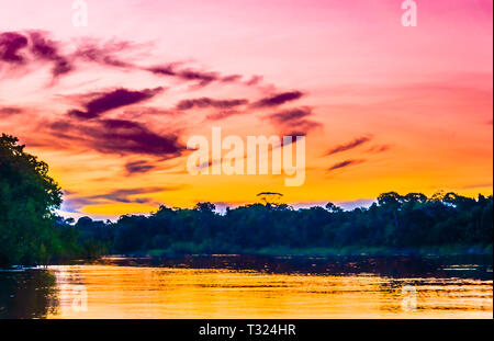 View on Colourful amazon sunset with river and forest. Brazil