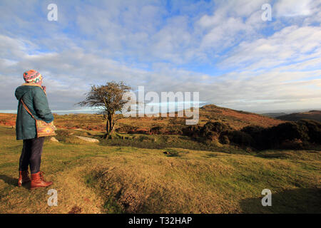 Looking towards Sharp Tor on Dartmoor,Devon,Southwest England Stock Photo