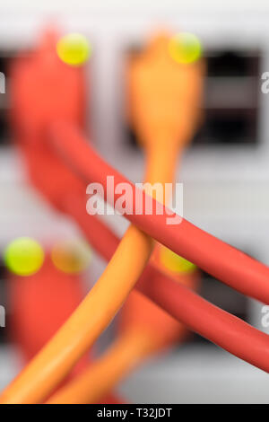 Close up of network cables on panels in a server room Stock Photo