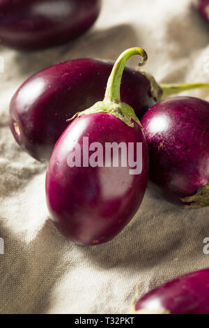 Raw Organic Purple Indian Eggplants Ready to Cook Stock Photo