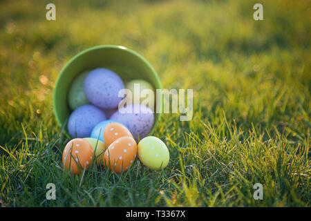 Colorful easter eggs on green lawn Stock Photo