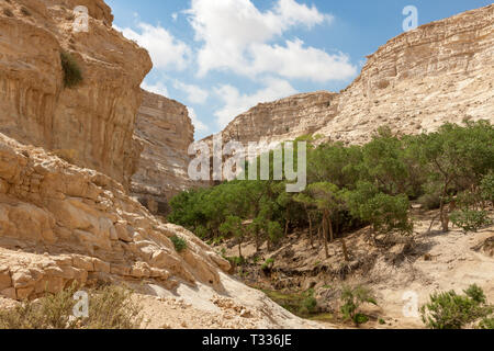 Ein Avdat is a canyon in the Negev Desert of Israel, south of Kibbutz Sde Boker. Archaeological evidence shows that Ein Avdat was inhabited by Nabatea Stock Photo