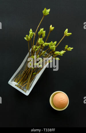 Easter-vernal composition with egg and a bunch of budding twigs in water, top view, black background Stock Photo