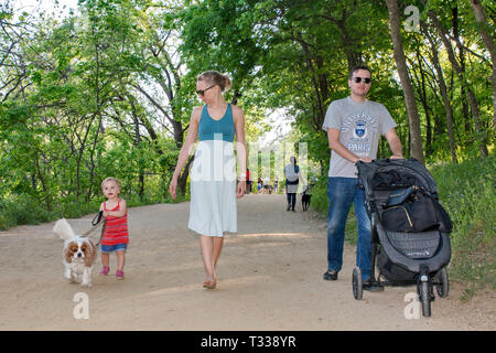 Father, mother, girl toddler and Cavalier King Charles Spaniel, at Butler Trail in Zilker Park in Austin, Texas, USA Stock Photo