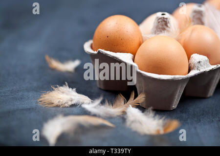 Farm chicken eggs in cardboard container and feathers closeup on black background. Stock Photo