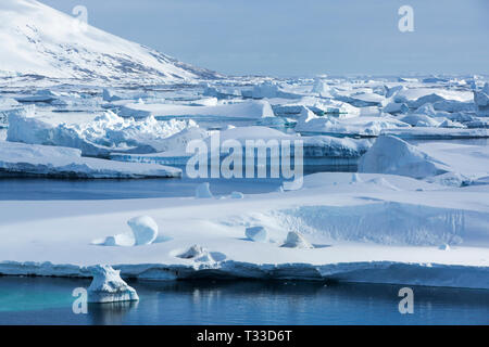 Icebergs at Port Charcot, Wilhelm Archipelago, Antarctic Peninsular. Stock Photo