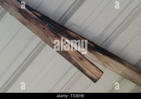 Old rusty nails loose on wooden beam Stock Photo