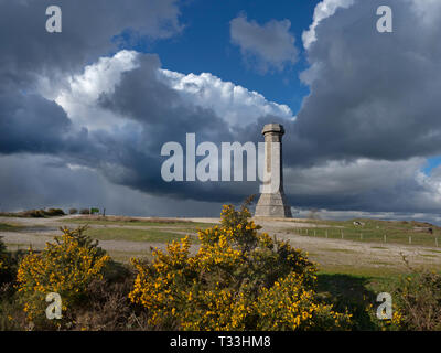 Hardy Monument Jurassic Coast  in Dorset southern England Stock Photo