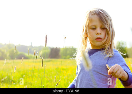 Little girl in a meadow at Heaven Farm campsite, Sussex, UK Stock Photo