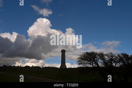 Hardy Monument Jurassic Coast  in Dorset southern England Stock Photo