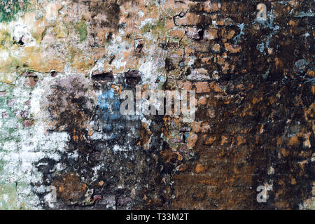 moss dirty wall background. Dilapidated wall covered with mold and moss in an abandoned house. Stock Photo