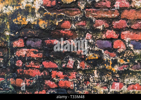 Background old red brick with mold. multi-colored bricks in the old wall close-up. Background in grunge style Stock Photo