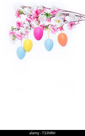 Four colored easter eggs hanging from a branch behind a white background with copy space. Stock Photo
