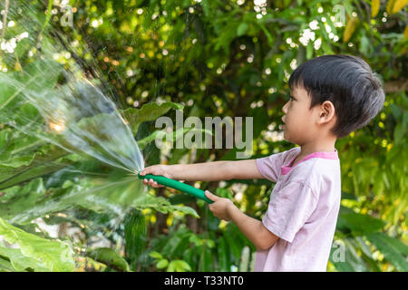 Children are watering plants with rubber hose in the garden. Stock Photo