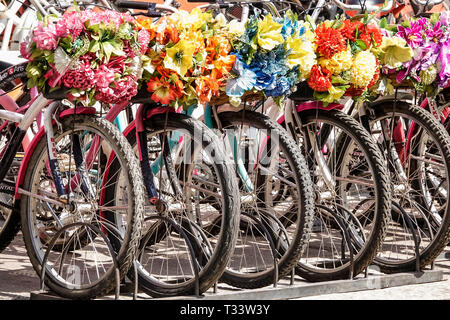 Cartagena Colombia,Center,centre,Getsemani,rental bicycles,decorative flower baskets,wheel,COL190121041