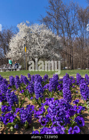 SOFIA, BULGARIA - MARCH 27, 2019: Amazing Spring landscape of South Park in city of Sofia, Bulgaria Stock Photo