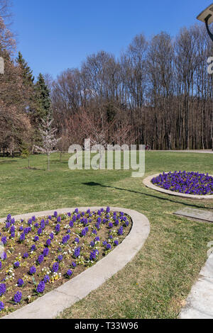 SOFIA, BULGARIA - MARCH 27, 2019: Amazing Spring landscape of South Park in city of Sofia, Bulgaria Stock Photo