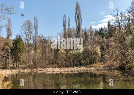 SOFIA, BULGARIA - MARCH 27, 2019: Amazing Spring landscape of South Park in city of Sofia, Bulgaria Stock Photo