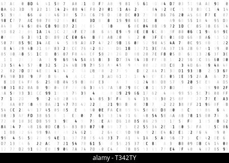 Random  hex code stream. Matrix background. Vector illustration isolated on white background Stock Vector