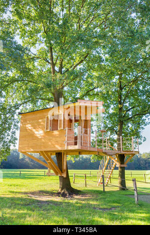 Newly built  dutch wooden tree hut in oak trees with meadow Stock Photo