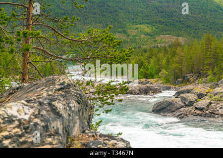 Mountain wild river valley landscape. Mountain river flowing through the green forest. Panoramic view of the mountain river. Raging mountain river in  Stock Photo