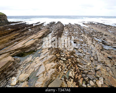 Upper Stromness Flagstone Formation, North West Orkney Mainland, Scotland, UK Stock Photo