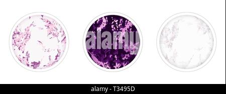 Highlight covers backgrounds. Set of marble design Stock Vector