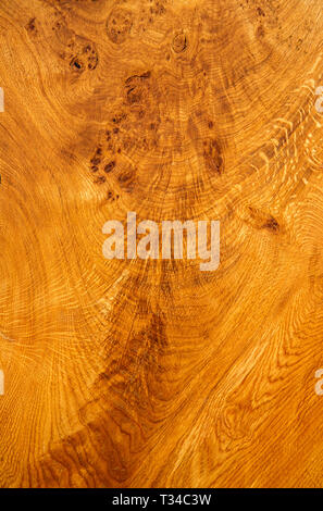 POLISHED OLIVE WOOD BURL TEXTURE SHOWING TIGHT SWIRLING GRAIN PATTERNS AND CONTRAST BETWEEN LIGHT AND DARK STREAKS Stock Photo