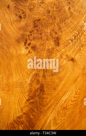 Polished Walnut Wood grain. Stock Photo