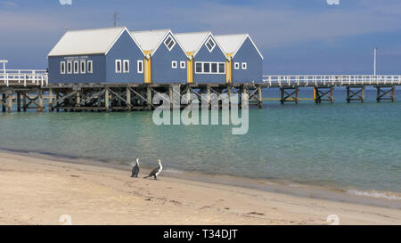 BUSSELTON, WESTERN AUSTRALIA, AUSTRALIA- NOVEMBER 9, 2015: close view of busselton jetty and two cormorants on the beach Stock Photo